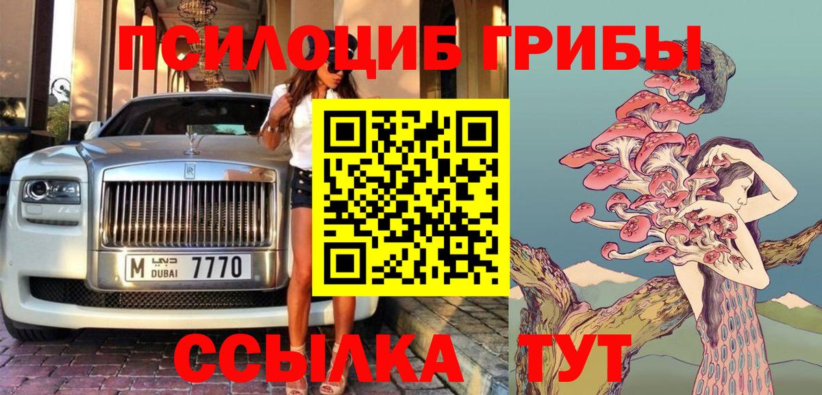 Псилоцибиновые грибы Psilocybe Городец