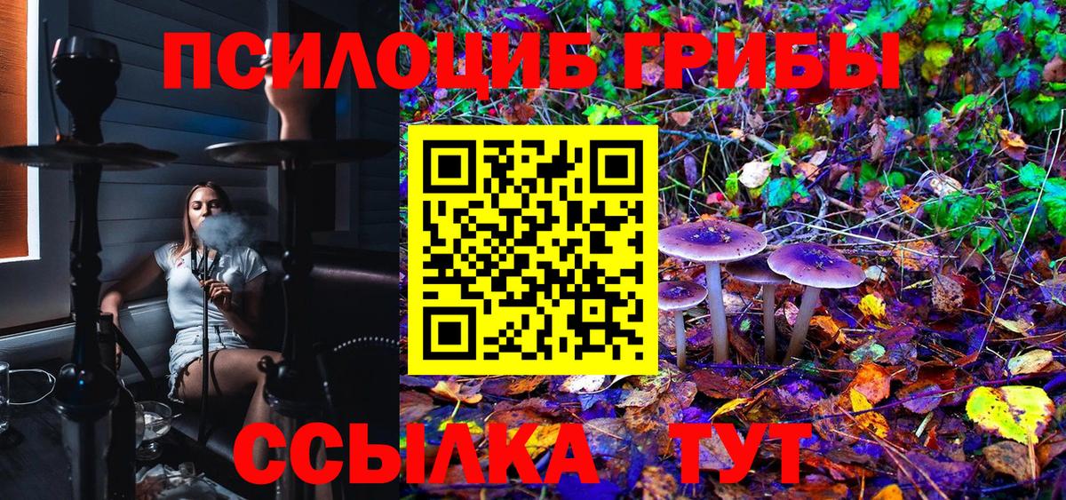 Городец  Галлюциногенные грибы Magic Shrooms  магазин    Вход с VPN  Псилоцибиновые грибы мицелий 